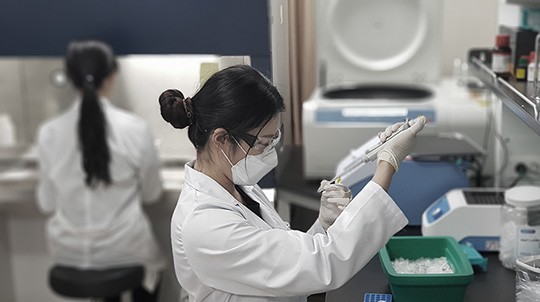 베르티스, 코스닥 상장예비심사 신청...영업손실 80억 - 뉴스 썸네일 이미지